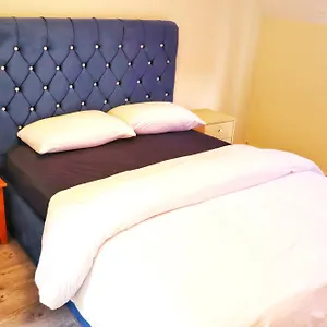  Homestay Deluxe Dwelling - 15 Mins From City/airport Ireland